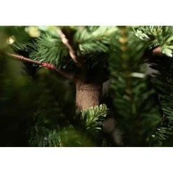 Magic Tree Alberi Di Natale Tradizionali|Alberi Di Natale Medi*Albero di Natale Illuminato Anthony 1500LED h180Ø137cm PE+PVC