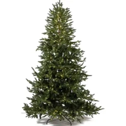 Magic Tree Alberi Di Natale Tradizionali|Alberi Di Natale Medi*Albero di Natale Illuminato Anthony 2000LED h210Ø148cm PE+PVC