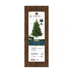 Kaemingk Alberi Di Natale Tradizionali|Alberi Di Natale Medi*Albero di Natale Nordmann h210Ø150cm PE+PVC