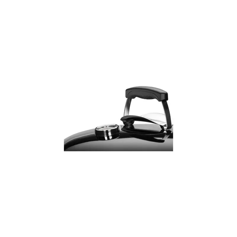 Weber Barbecue Weber A Carbone|Barbecue Weber A Carbone*Barbecue a Carbone Master-Touch GBS C-5750 Ø 57 cm Slate Blue Cod. 14713004