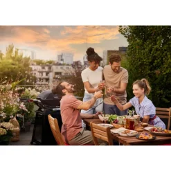 Weber Barbecue Weber Q A Gas|Barbecue Weber A Gas*Barbecue a Gas Q 2800N+ Con Carrello Premium Black Cod. 1501123