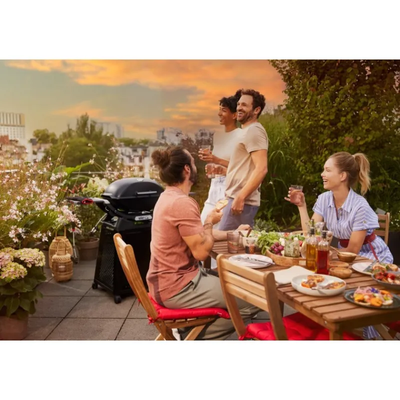 Weber Barbecue Weber Q A Gas|Barbecue Weber A Gas*Barbecue a Gas Q 2800N+ Con Carrello Premium Black Cod. 1501123