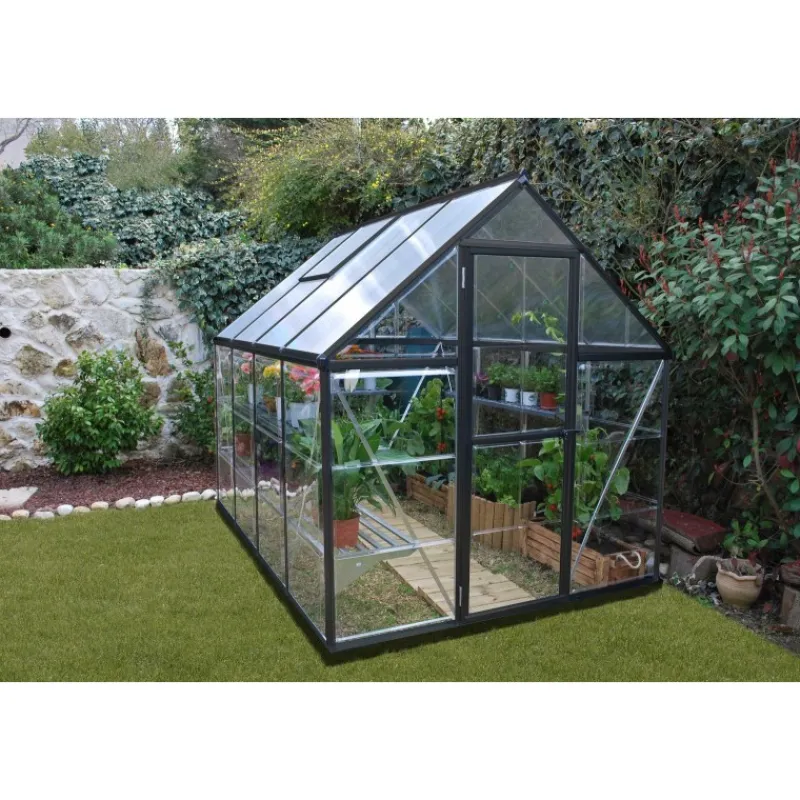 Canopia Serra Da Giardino Canopia*Hybrid Serra Da Giardino in Policarbonato 247X185X208 cm Grigio