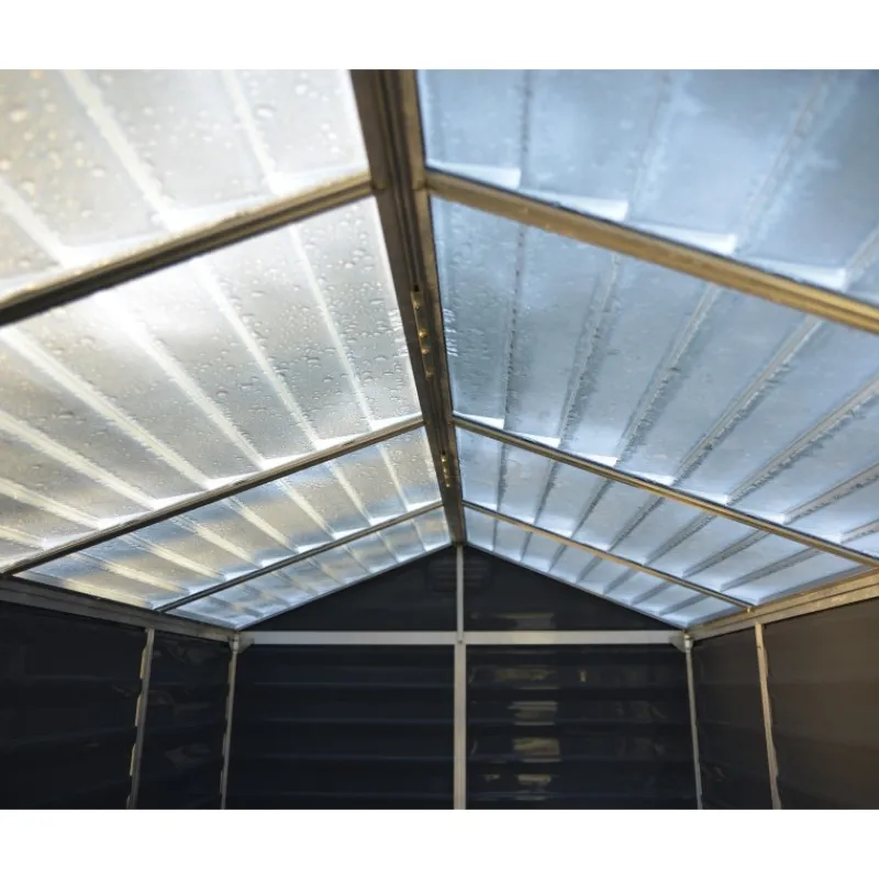 Canopia Casette Da Giardino Piccole*Skylight Casetta Da Giardino in Policarbonato 90X185X217 cm Grigio Scuro