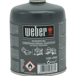 Weber Combustibili Per Barbecue|Combustibili E Affumicatura Weber*Cartuccia Gas 445 g Cod. 17846