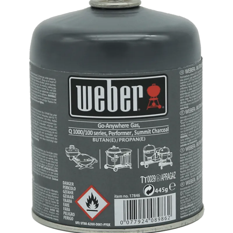 Weber Combustibili Per Barbecue|Combustibili E Affumicatura Weber*Cartuccia Gas 445 g Cod. 17846