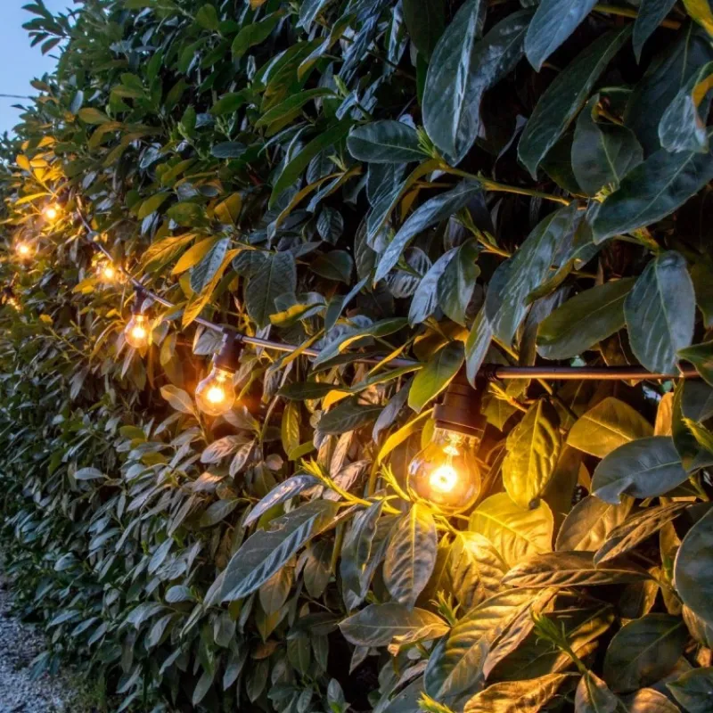 Lotti Luci Di Natale|Luci Di Natale*Catena Party Light con 8 Portalampada E27 5m Prolungabile