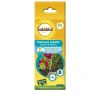 SBM Prodotti Per La Cura Del Giardino|Prodotti Per Lotta Biologica*Cattura Insetti Geranio e Bosso
