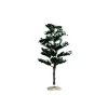 Lemax Accessori|Alberi*Conifer Tree Medium Cod. 64092