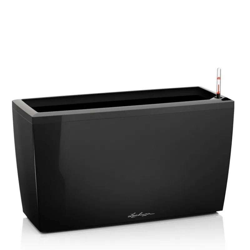 Lechuza Premium Collection|Fioriere In Resina*Fioriera Cararo 75 Set Completo