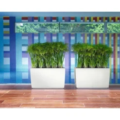 Lechuza Premium Collection|Fioriere In Resina*Fioriera Cararo 75 Set Completo