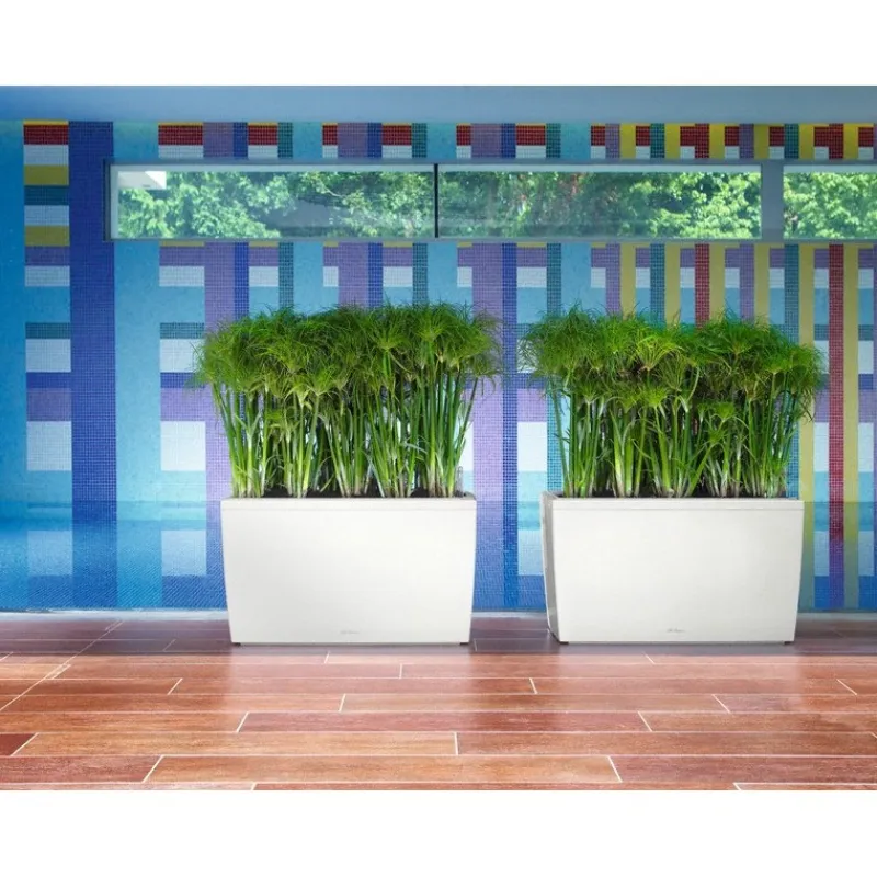 Lechuza Premium Collection|Fioriere In Resina*Fioriera Cararo 75 Set Completo