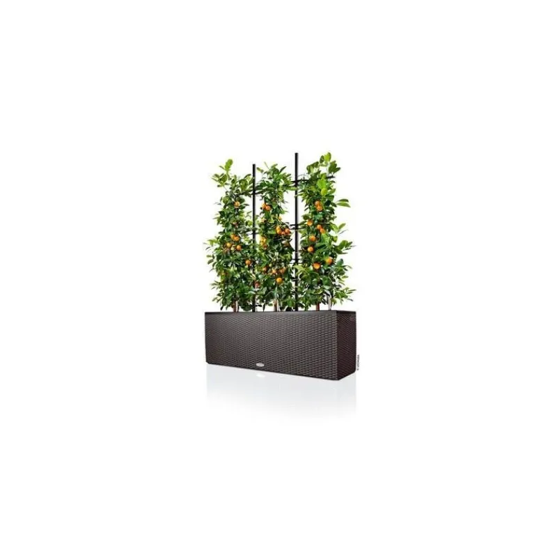 Lechuza Accessori|Fioriere In Resina*Graticcio per Fioriera Trio 30
