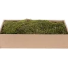 MyVillage Materiale Per Decorare*Muschio Piatto Essiccato 500 g Verde - Marrone