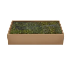 MyVillage Allestimento Villaggi|Materiale Per Decorare*Muschio Verde 500 gr
