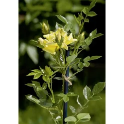 Stocker Legacci*Jutec filo di iuta biodegradabile 50 m naturale