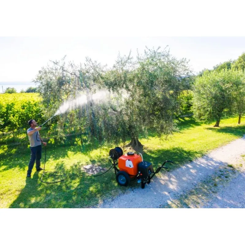 Stocker Pompe E Nebulizzatori*Pompa a carriola a batteria 100 l