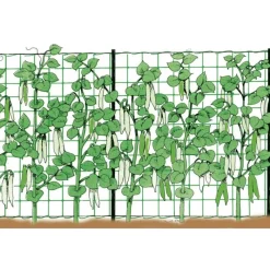Stocker Protezione*Rete rampicante 2 x 10 m