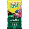 Vigorplant Terricci Per Piante*Terriccio Acidofile 25 litri