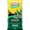 Vigorplant Terricci Per Piante*Terriccio Cactacee 5 litri