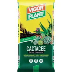 Vigorplant Terricci Per Piante*Terriccio Cactacee 5 litri