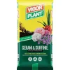 Vigorplant Terricci Per Piante*Terriccio Gerani & Surfinie 20 litri