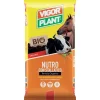 Vigorplant Terricci Per Piante*Terriccio Nutro con Stallatico 45 litri