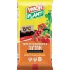 Vigorplant Terricci Per Piante*Terriccio Orticultura Biologica Bioton 45 litri