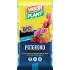 Vigorplant Terricci Per Piante*Terriccio Potgrond 20 litri
