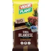 Vigorplant Terricci Per Piante*Torba Irlandese 70 litri