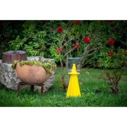 InVerde Insetticidi*Trappola per Cimice Asiatica CYMATRAP GARDEN