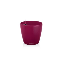 Lechuza Color Collection|Vasi Tondi In Resina*Vaso Classico Color 21 Set Completo