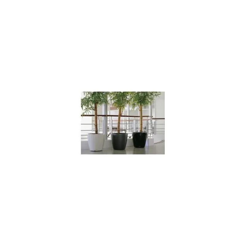 Lechuza Premium Collection|Vasi Tondi In Resina*Vaso Classico Premium 50 Set Completo