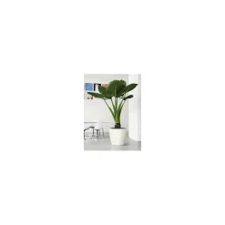 Lechuza Premium Collection|Vasi Tondi In Resina*Vaso Classico Premium 43 Set Completo