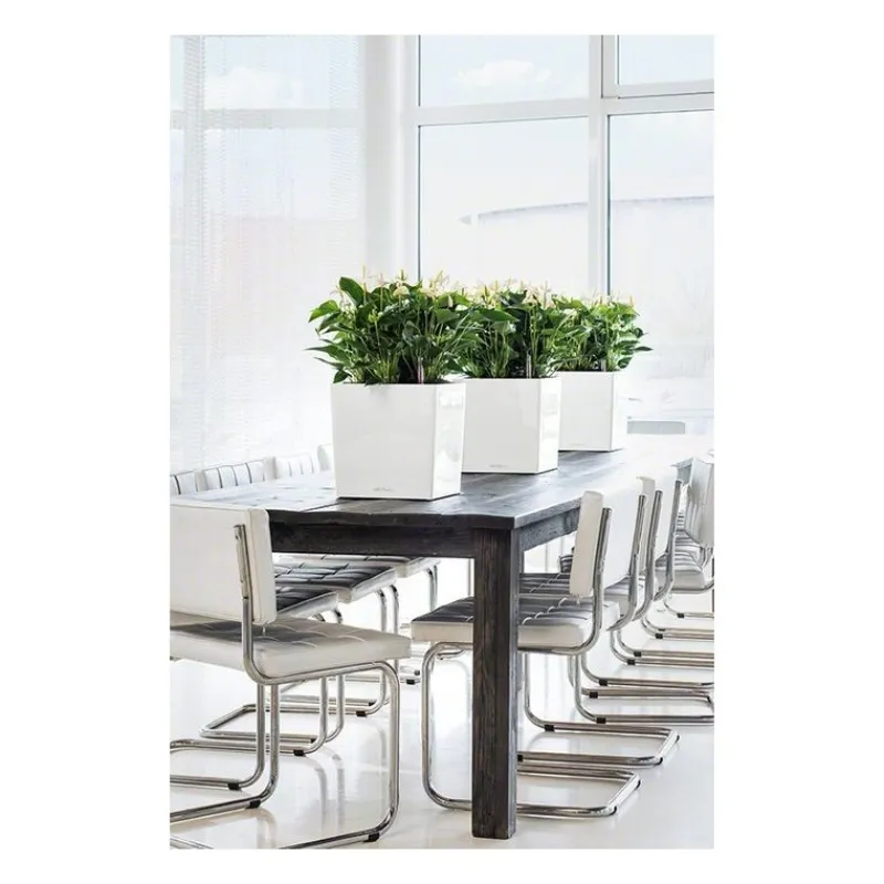 Lechuza Vasi Quadrati In Resina|Vasi In Resina*Vaso Cube 30 Set Completo