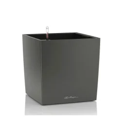 Lechuza Vasi Quadrati In Resina|Vasi In Resina*Vaso Cube 50 Set Completo