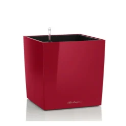 Lechuza Vasi Quadrati In Resina|Vasi In Resina*Vaso Cube 50 Set Completo