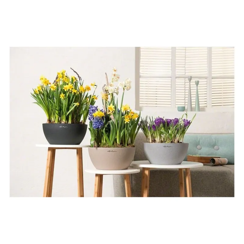 Lechuza Vasi Quadrati In Resina|Vasi In Resina*Vaso Cubeto 30 Set Completo