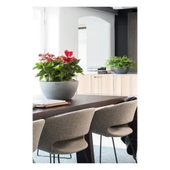 Lechuza Vasi Quadrati In Resina|Vasi In Resina*Vaso Cubeto 30 Set Completo