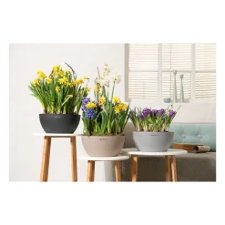 Lechuza Vasi Quadrati In Resina|Vasi In Resina*Vaso Cubeto 40 Set Completo
