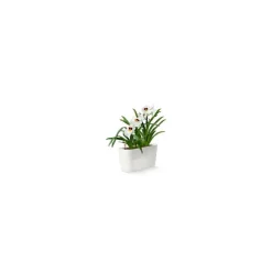 Lechuza Vasi Tondi In Resina|Vasi In Resina*Vaso Delta Premium 20 Set Completo