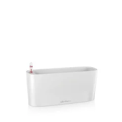 Lechuza Premium Collection|Vasi Tondi In Resina*Vaso Delta Premium 10 Set Completo