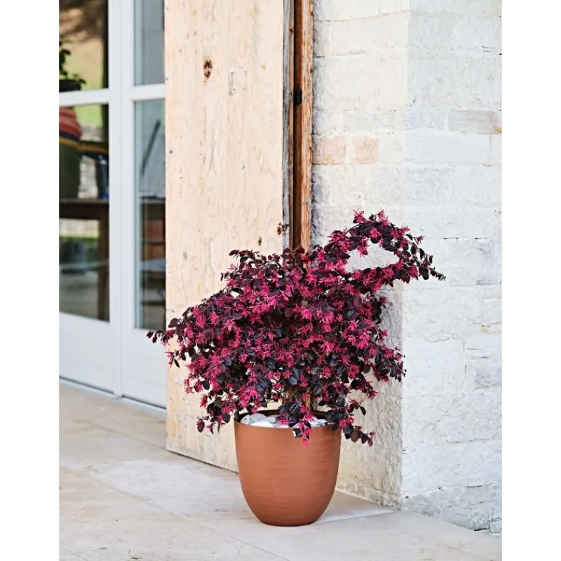Teraplast Vasi Eco Green|Vasi Tondi In Plastica*Vaso Over Eco Green