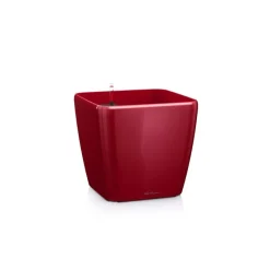 Lechuza Premium Collection|Vasi Tondi In Resina*Vaso Quadro Premium 50 Set Completo