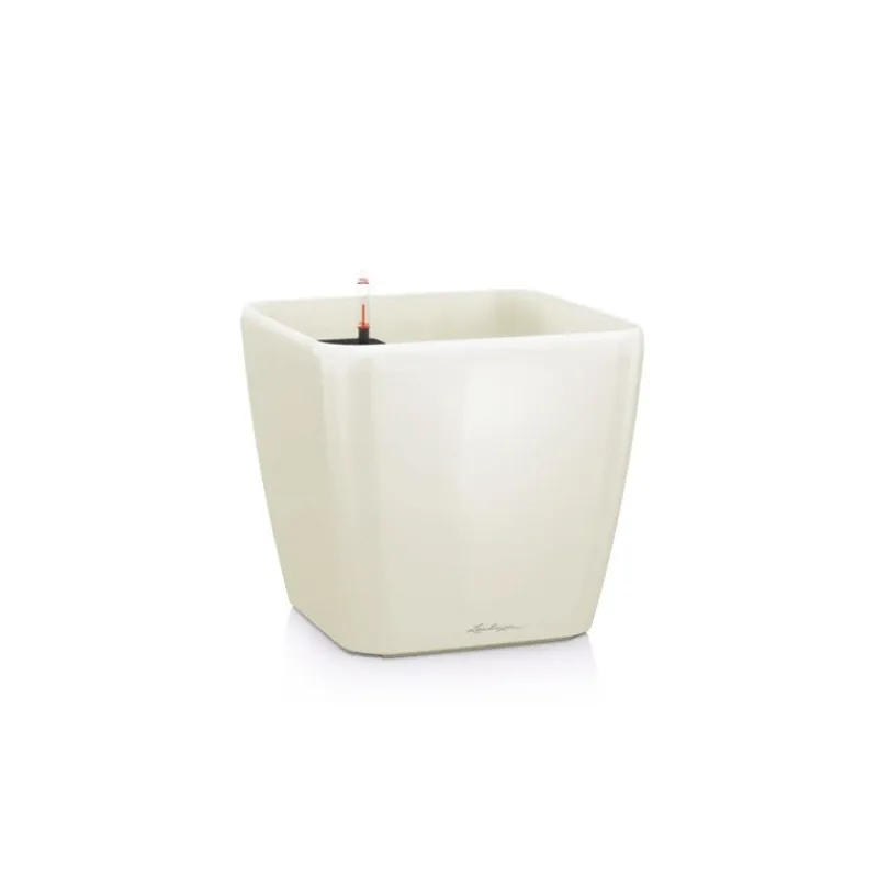 Lechuza Premium Collection|Vasi Tondi In Resina*Vaso Quadro Premium 35 Set Completo