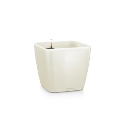 Lechuza Premium Collection|Vasi Tondi In Resina*Vaso Quadro Premium 28 Set Completo